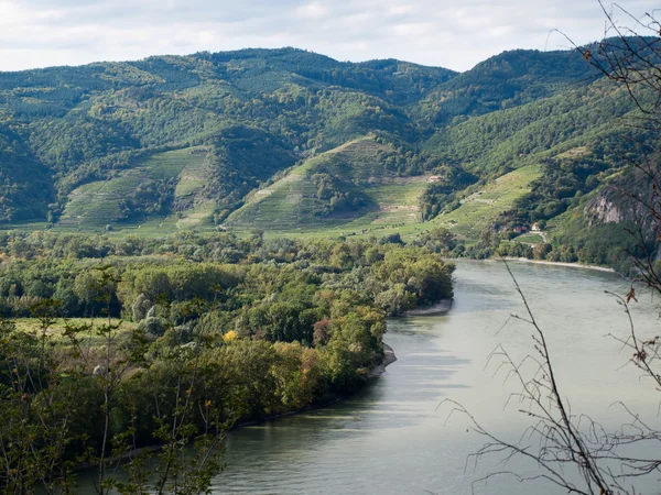 Donau — Stockfoto