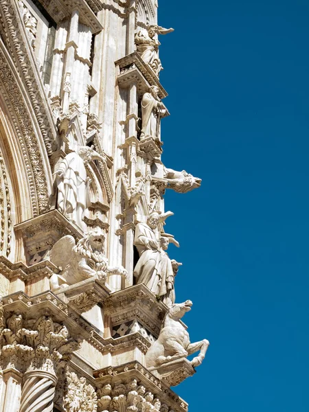 Siena, Itálie — Stock fotografie