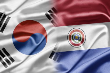 Güney Kore ve paraguay