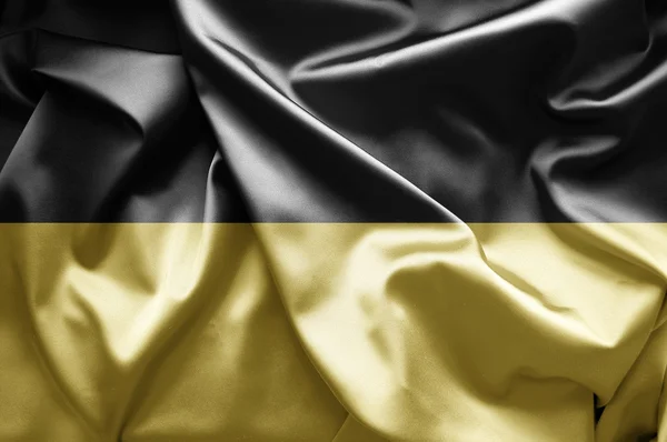 Baden-Württemberg Flags and symbols of Germany. — 스톡 사진