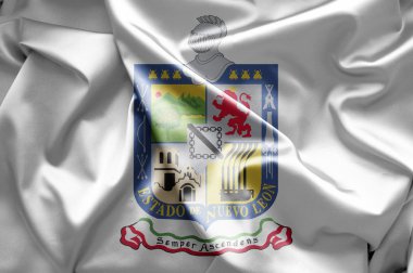 Nuevo Leon (Meksika)