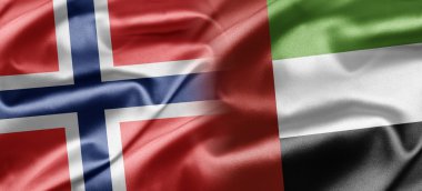 Norveç ve Birleşik Arap Emirlikleri