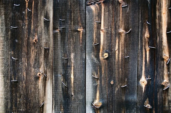Pared vieja con clavos oxidados — Foto de Stock