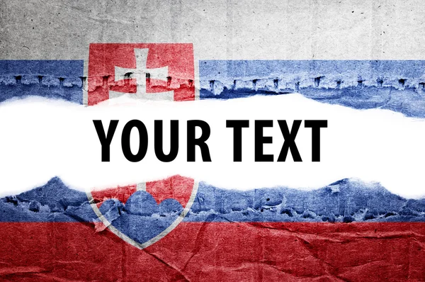 Slovakia flag with text space. — Stock Photo, Image