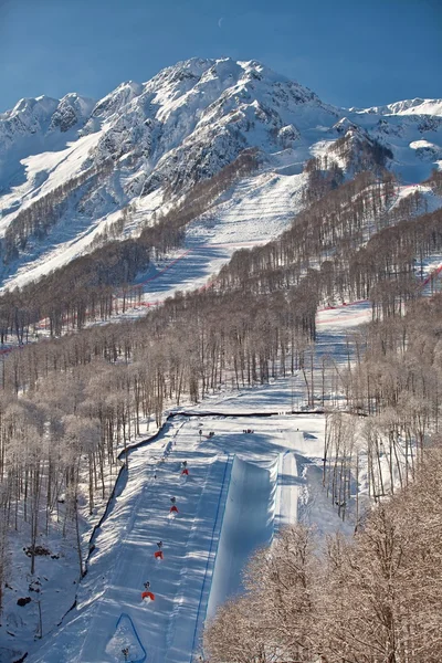 Sochi 2014 - Rosa Khutor Imagens Royalty-Free