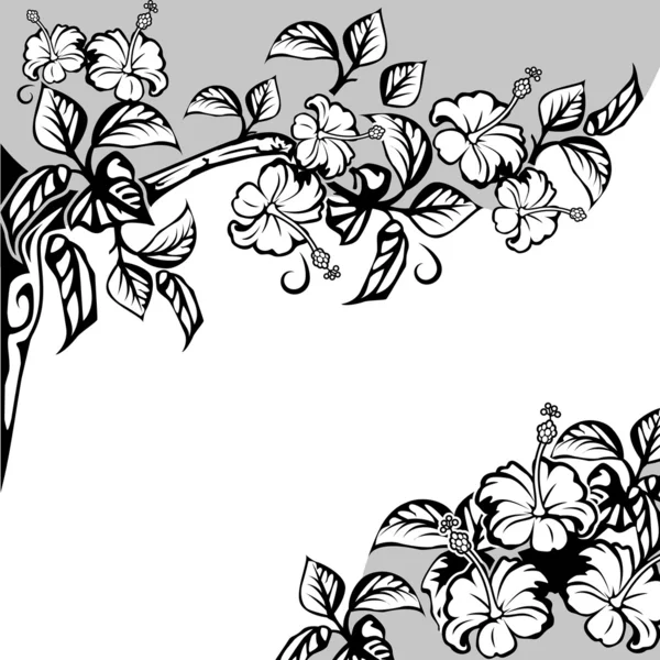 Fleurs d'hibiscus — Image vectorielle