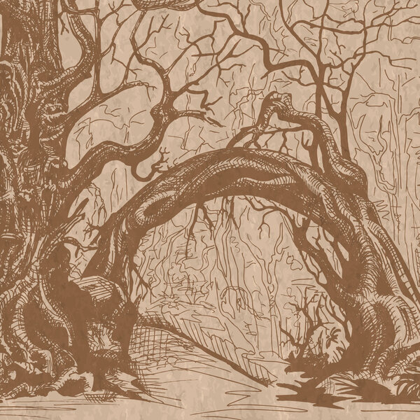 Толстоголовка коричневая
