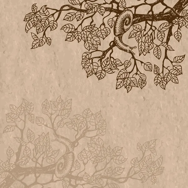 Escargot miroir brun — Image vectorielle
