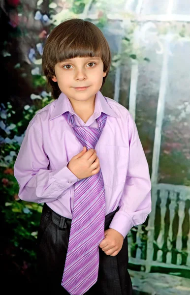 Retrato de un lindo chico con la camisa y corbata púrpura —  Fotos de Stock