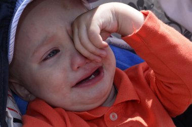 Moldova için seyahat