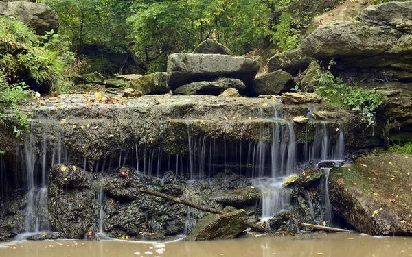 Saharna — Stok fotoğraf