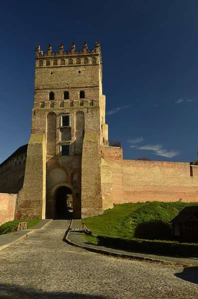 Castelo Príncipe Lubart — Fotografia de Stock