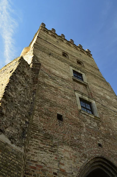 Castillo Príncipe Lubart — Foto de Stock