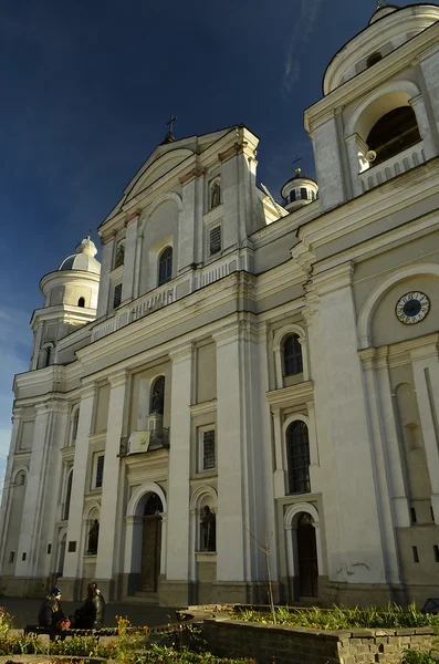 Cathedral of Saints Peter and Paul — Stock Photo, Image