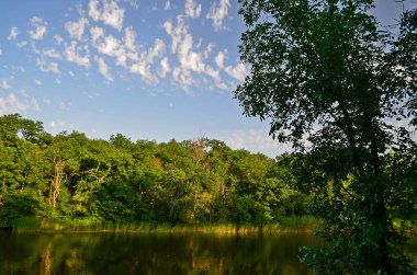 Orman nehrinin güzel manzarası, Samara Ukrayna.