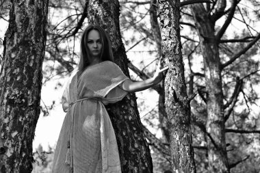 Ormanın çalılıklarında, orman elfi şeklinde güzel bir kadın..