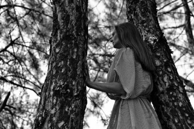 Ormanın çalılıklarında, orman elfi şeklinde güzel bir kadın..