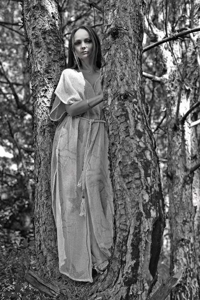 Μια Όμορφη Γυναίκα Μορφή Ενός Ξωτικού Του Δάσους Στην Συστάδα — Φωτογραφία Αρχείου
