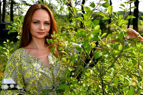 Hermosa Joven Recogiendo Bayas Silvestres Verano Bosque — Foto de Stock