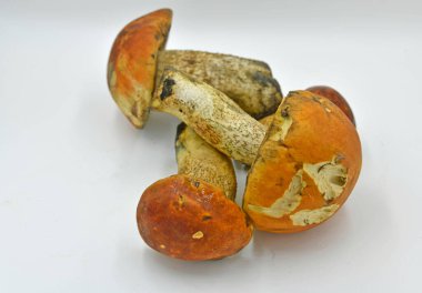 Beyaz mantar, boletus veya borovik. İsim, kesiğin rengini değiştirmemek için posanın özelliğini yansıtır.