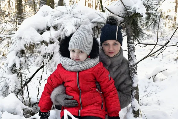 Mor Och Dotter Flickor Vacker Fantastisk Snöig Skog — Stockfoto