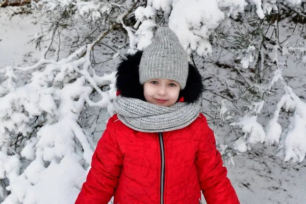 Walk Mother Daughter Girls Beautiful Fabulous Snowy Forest — Stock Photo, Image