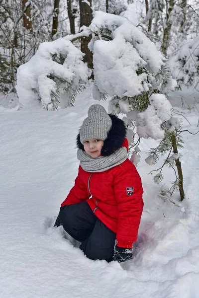 Caminar Madre Hija Niñas Hermoso Fabuloso Bosque Nevado —  Fotos de Stock