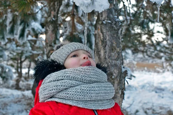 Caminar Madre Hija Niñas Hermoso Fabuloso Bosque Nevado —  Fotos de Stock