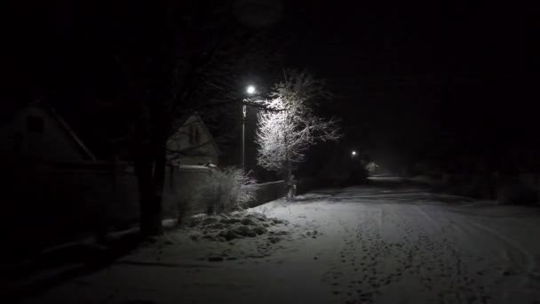 Nieve Nocturna Noche Navidad Este Ucrania — Vídeos de Stock
