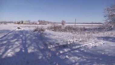 Snowy landscape in winter in the village.