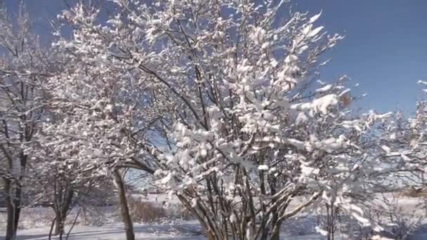 Sneeuwlandschap Winter Het Dorp — Stockvideo
