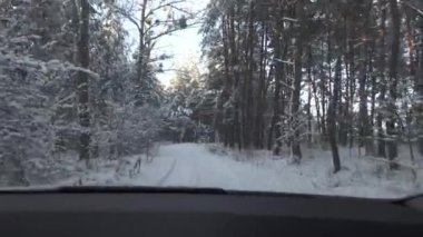 Kış ormanı manzarası, araba penceresinden manzara..