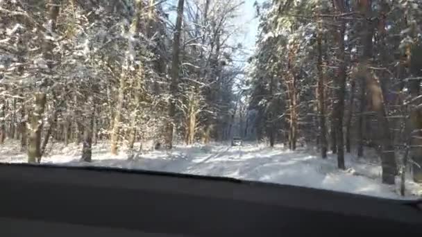 Zimowy Las Krajobraz Widok Okna Samochodu — Wideo stockowe