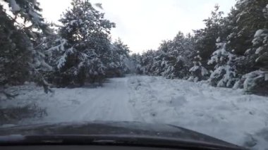 Kış ormanı manzarası, araba penceresinden manzara..