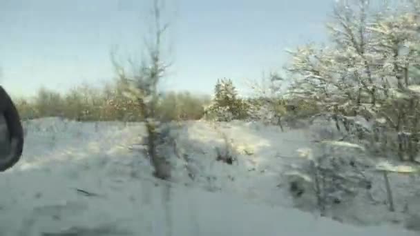Paesaggio Forestale Invernale Vista Dal Finestrino Dell Auto — Video Stock