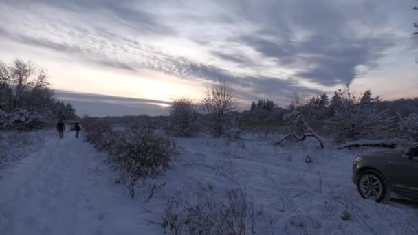 Winterbos Landschap Uitzicht Vanuit Het Autoraam — Stockvideo