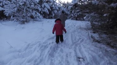 Anne kadın muhteşem bir kış ve karlı bir ormanda bir kızla yürüyüşe çıktı..