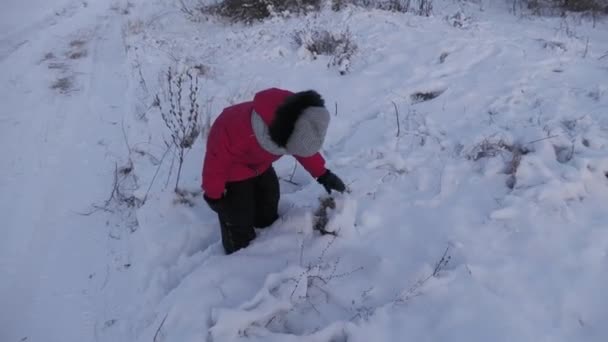 素晴らしい冬の雪の森の中で子供の女の子と散歩中の母の女性 — ストック動画