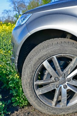 Ukrayna, Novomoskovsk şehri 05 / 07 / 2022. İlkbaharda Audi Q7 SUV bir kolza tohumu tarlasının arka planında.