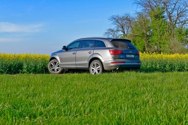 Ukrayna, Novomoskovsk şehri 05 / 07 / 2022. İlkbaharda Audi Q7 SUV bir kolza tohumu tarlasının arka planında.