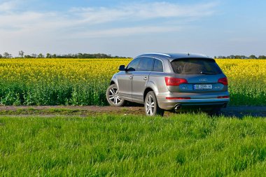 Ukrayna, Novomoskovsk şehri 05 / 07 / 2022. İlkbaharda Audi Q7 SUV bir kolza tohumu tarlasının arka planında.