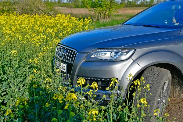 Ucraina Città Novomoskovsk 2022 Audi Suv Primavera Sullo Sfondo Campo — Foto Stock