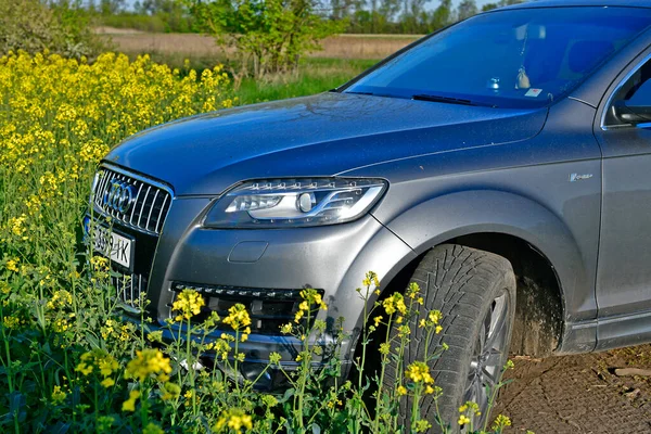 Ucrania Ciudad Novomoskovsk 2022 Audi Suv Primavera Con Telón Fondo Imágenes De Stock Sin Royalties Gratis