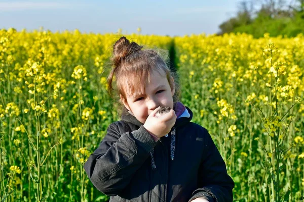 Una Niña Camina Campo Flores Primavera Con Hámster Mascota — Foto de Stock