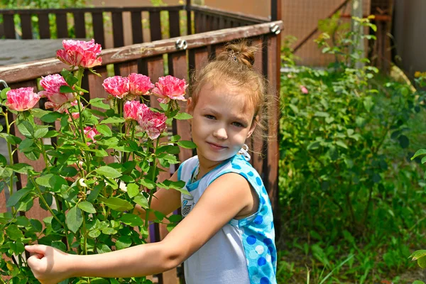 Красива Дівчина Дачі Букетом Великих Троянд — стокове фото