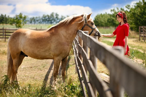 Усміхнена дівчина з конем — стокове фото