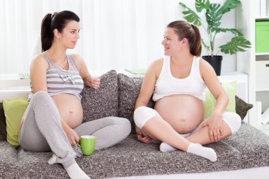 iki hamile kadın arkadaş birlikte vakit