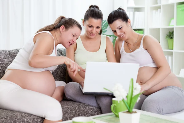 Drie zwangere vrouwen op zoek in laptop — Stockfoto