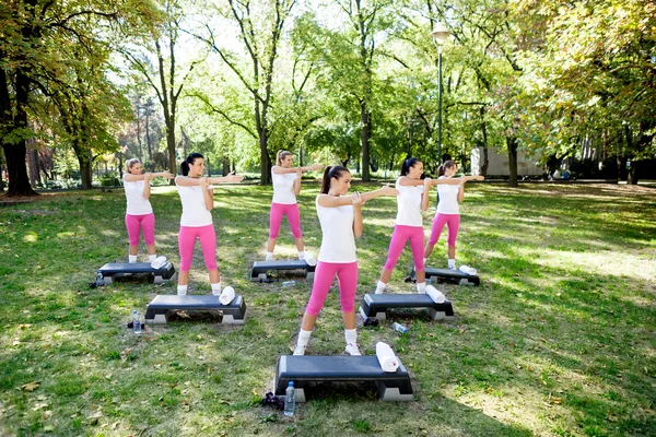 Grupo de mujeres que tienen clase de fitness —  Fotos de Stock