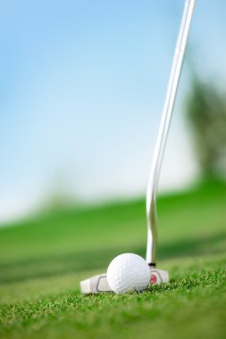 golf sahasında golf club